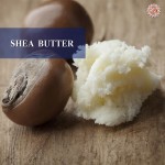 Shea Butter small-image